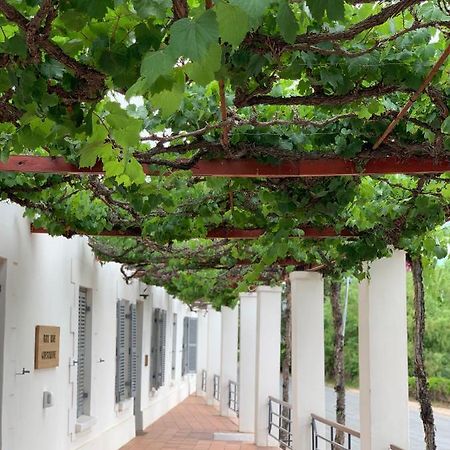 קליצדורפ Port Wine Guesthouse מראה חיצוני תמונה